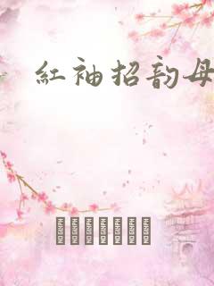红袖招韵母攻略