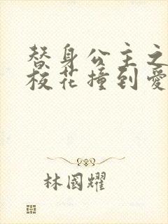 替身公主之杀手校花撞到爱