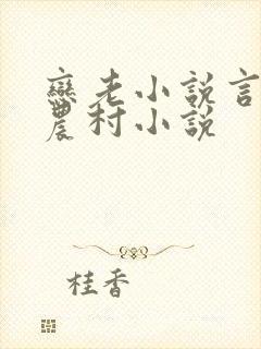 恋老小说言情网农村小说