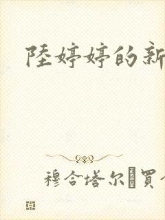 陆婷婷的新故事