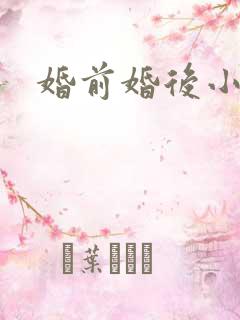 婚前婚后小说