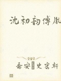 沈初韵傅胤小说