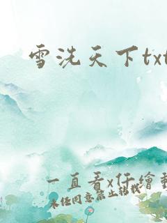 雪洗天下txt