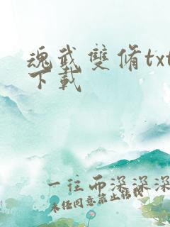 魂武双修txt下载