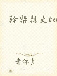 干柴烈火txt