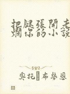 把腿张开老子臊烂你的小说