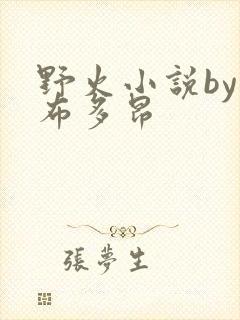 野火小说by夏布多昂