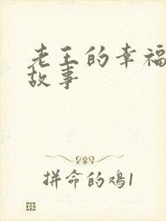 老王的幸福生活故事