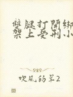 双腿打开绑在刑架上受刑小说