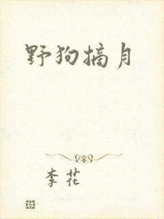 野狗摘月