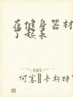 在健身器材上做了起来