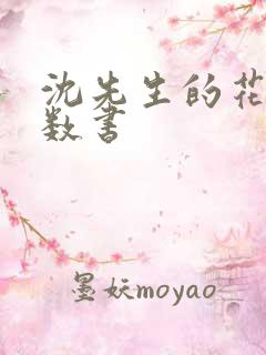 沈先生的花式调数书