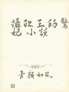 摄政王的惊世嫡妃 小说