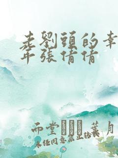 老刘头的幸福晚年张倩倩