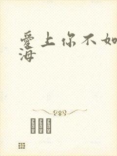 爱上你不如爱上海