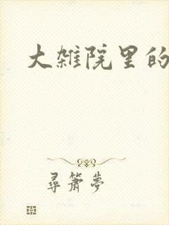 大杂院里的女人