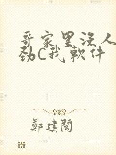 哥家里没人使点劲C我软件