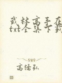 武林高手在校园txt全集下载