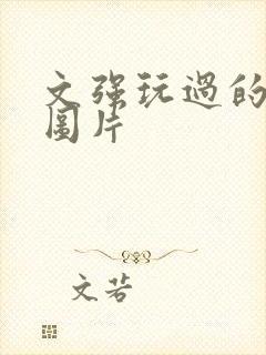 文强玩过的女人图片