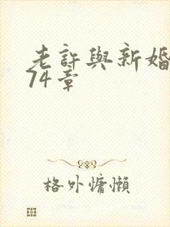 老许与新婚小倩74章