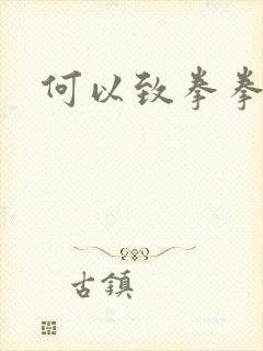 何以致拳拳番外