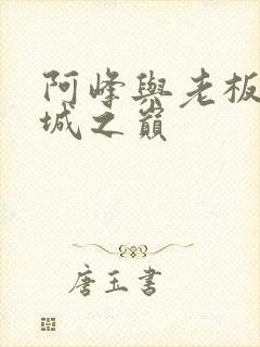 阿峰与老板娘倾城之巅