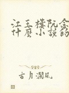 江玉楼阮念笙是什么小说的名字