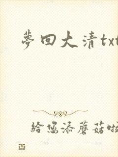 梦回大清txt