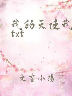 我的天使我的爱txt