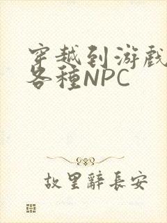 穿越到游戏里和各种NPC