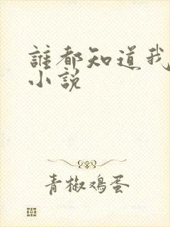 谁都知道我爱你小说