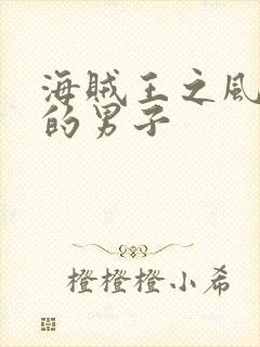 海贼王之风一样的男子