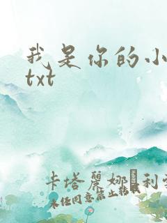 我是你的小小狗txt