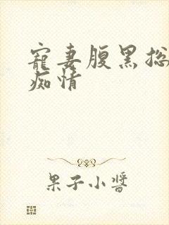 宠妻腹黑总裁太痴情