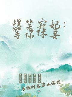 爆笑宠妃：爷我等你休妻