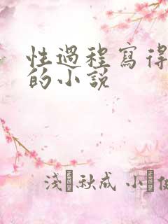 性过程写得详细的小说