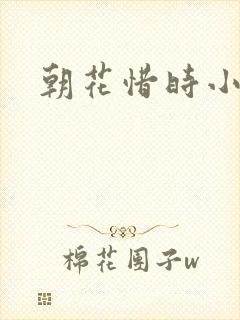 朝花惜时小说