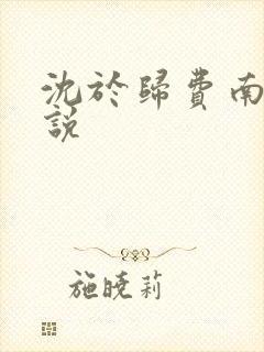 沈于归费南城小说