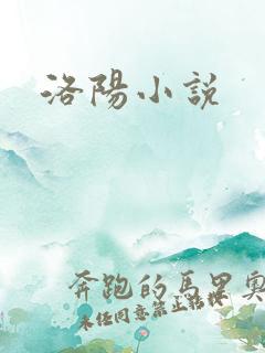 洛阳小说