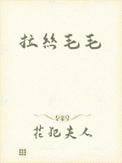 拉丝毛毛