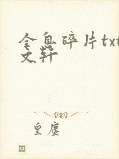 全息碎片txt文轩