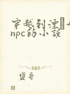 穿越到湮婸世界npc的小说