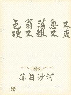 色翁荡息又大又硬又粗又爽