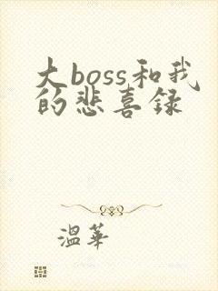 大boss和我的悲喜录