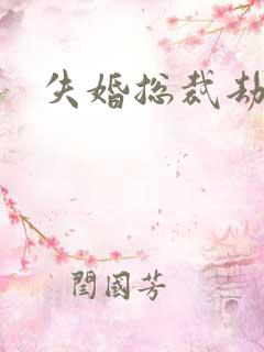 失婚总裁劫前妻