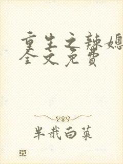 重生之辣媳当家全文免费