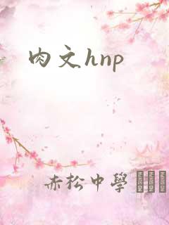 肉文hnp