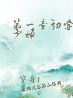 第一章初尝云雨少妇