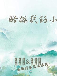 酷总裁的小女佣