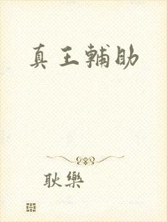 真王辅助